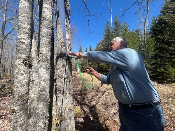 ‘60 days to vacate the land’: Maple syrup producer in sticky battle with Nova Scotia
