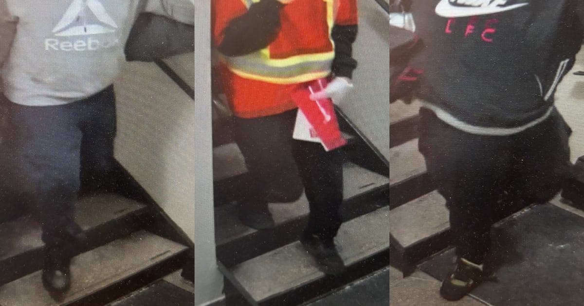 Suspects in home invasion pretended to deliver package before ransacking apartment: police - CTV News