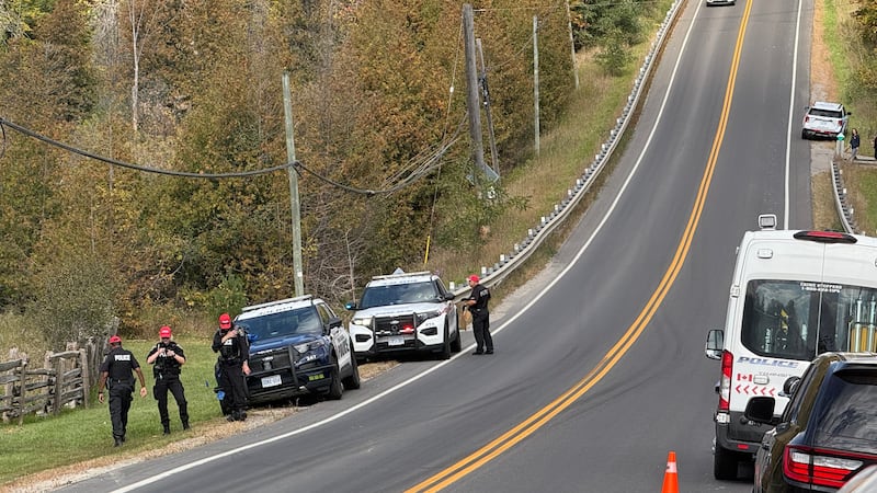 New details about deadly hit-and-run in Vaughan as police urge driver to turn themself in