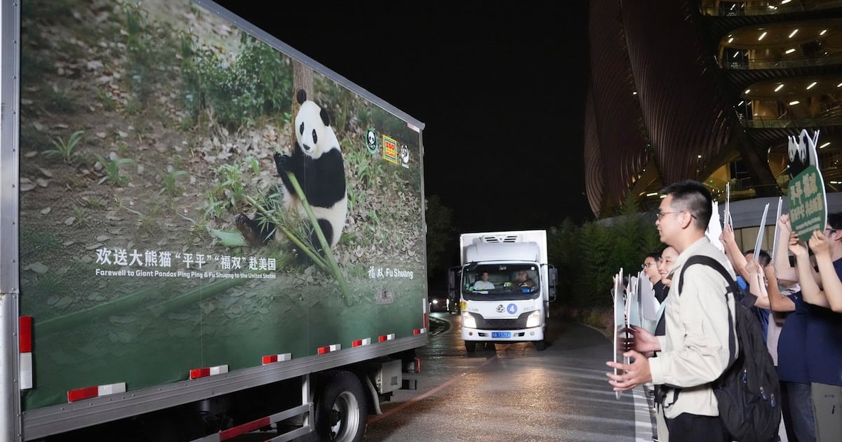 Panda diplomacy: China lends animals to U.S. for foreign ties