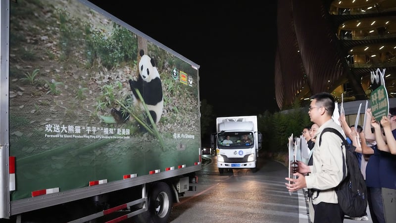Panda diplomacy: China lends animals to U.S. for foreign ties