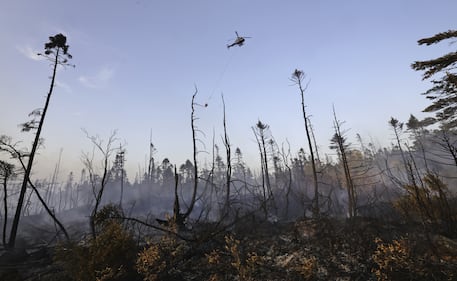 A helicopter drops water on a wildfire in the Bayers Lake area of Halifax on Aug. 12, 2025. (Source: Province of Nova Scotia)