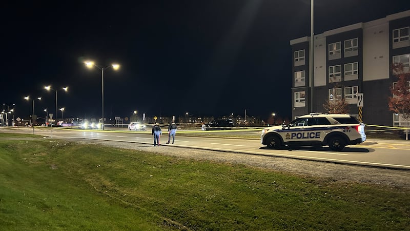 Police seeking witnesses after pedestrian suffers life-threatening injuries in Kanata collision