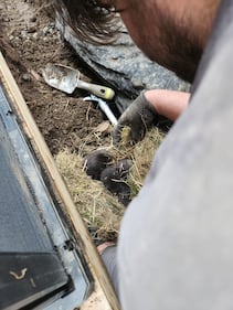 Baby river otter removal