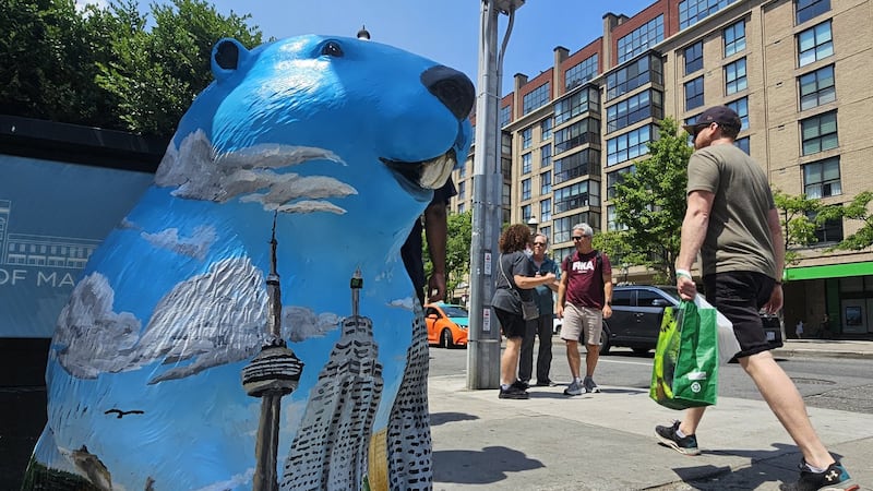 Beaver sculptures welcome tourists in downtown Toronto ahead of World Cup
