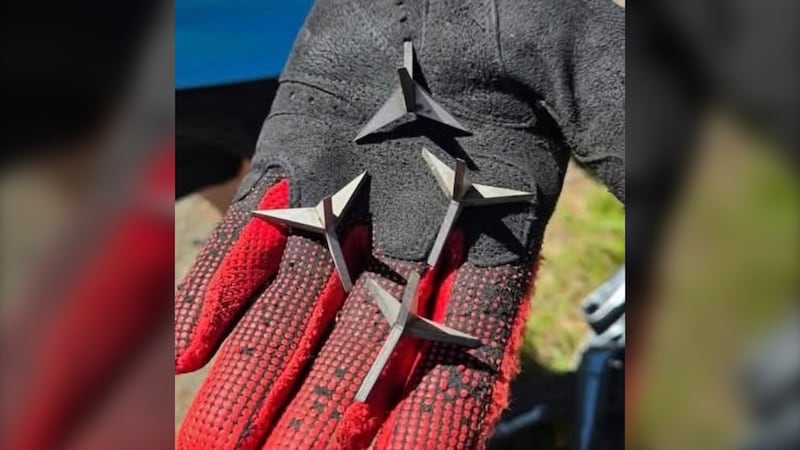 Dangerous metal spikes discovered on Comox Valley trails, search and rescue warns