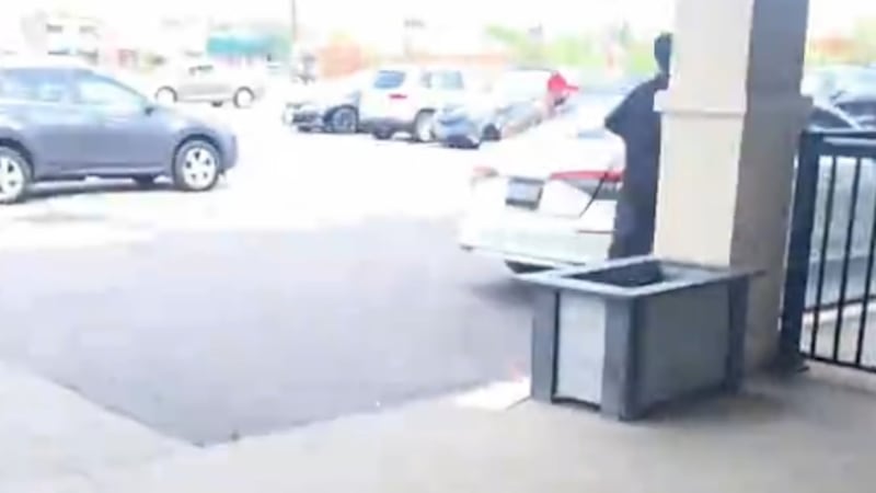 WATCH: Man intervenes during attempted LCBO theft in Mississauga