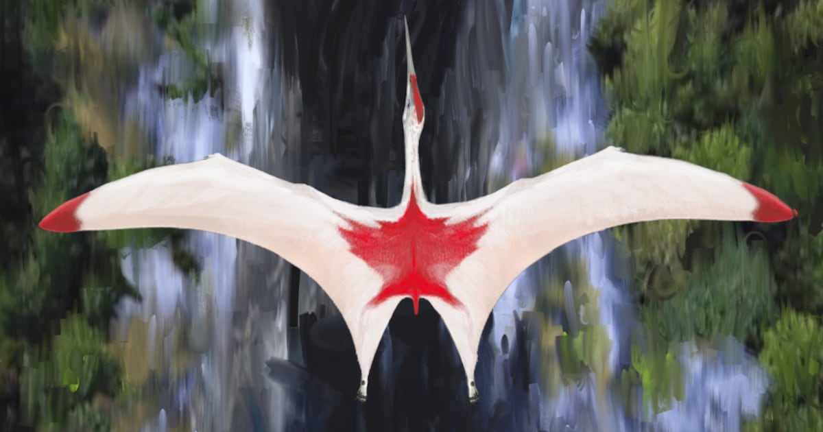 Meet Canada's newly identified pterosaur, the 'frozen dragon of the ...