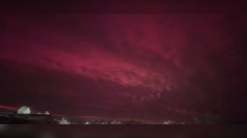 The Northern Lights are pictured in West Branch, N.S., on Jan. 19, 2026. (Courtesy: Patsy Chapman)