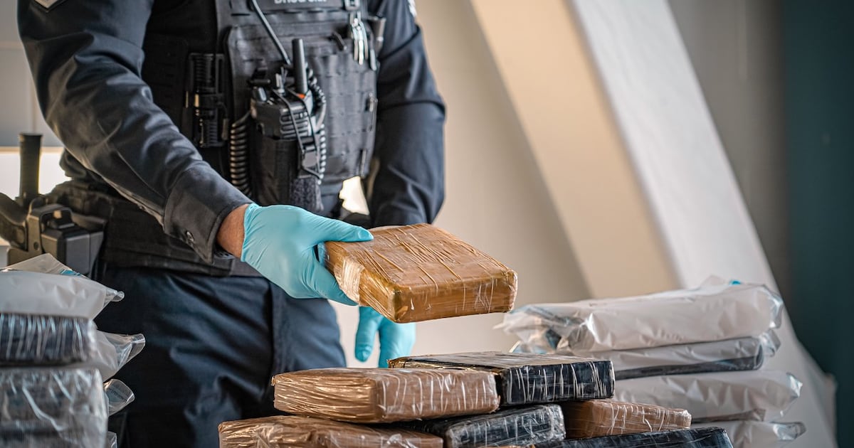 Vancouver police make largest-ever cocaine seizure totalling 328 kilograms - CTV News