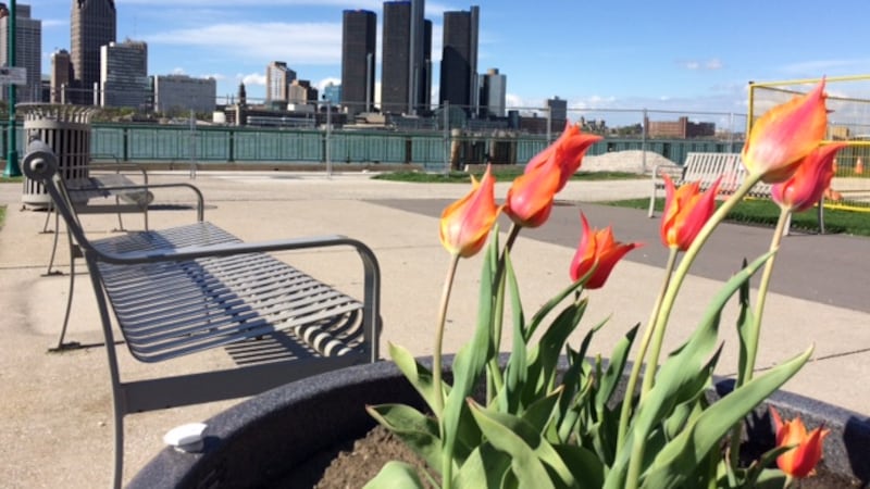 City planning family-friendly summer events in Windsor in light of rising gas prices