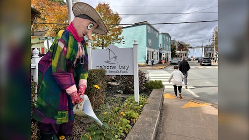 A scarecrow watering a garden is pictured.