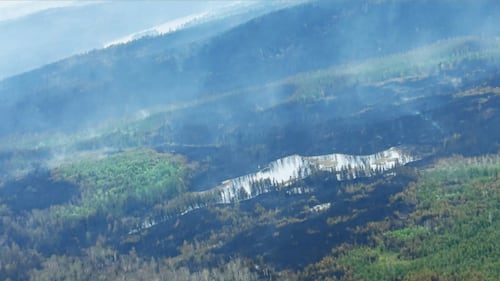 Growth of Timmins 9 forest fire slows, now sits at 3,399 ha