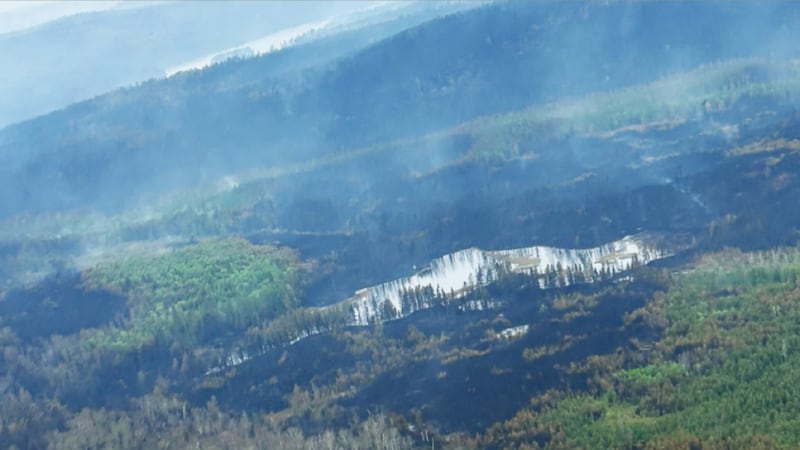 Growth of Timmins 9 forest fire slows, now sits at 3,399 ha