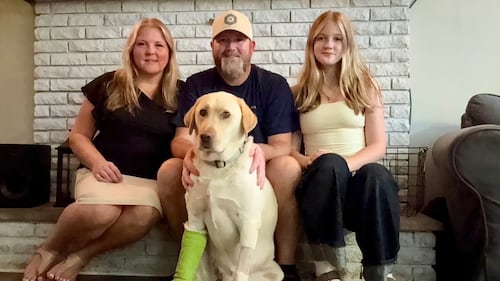 ‘Just surreal’: N.S. family grateful for rope rescue team that saved dog from cliffside