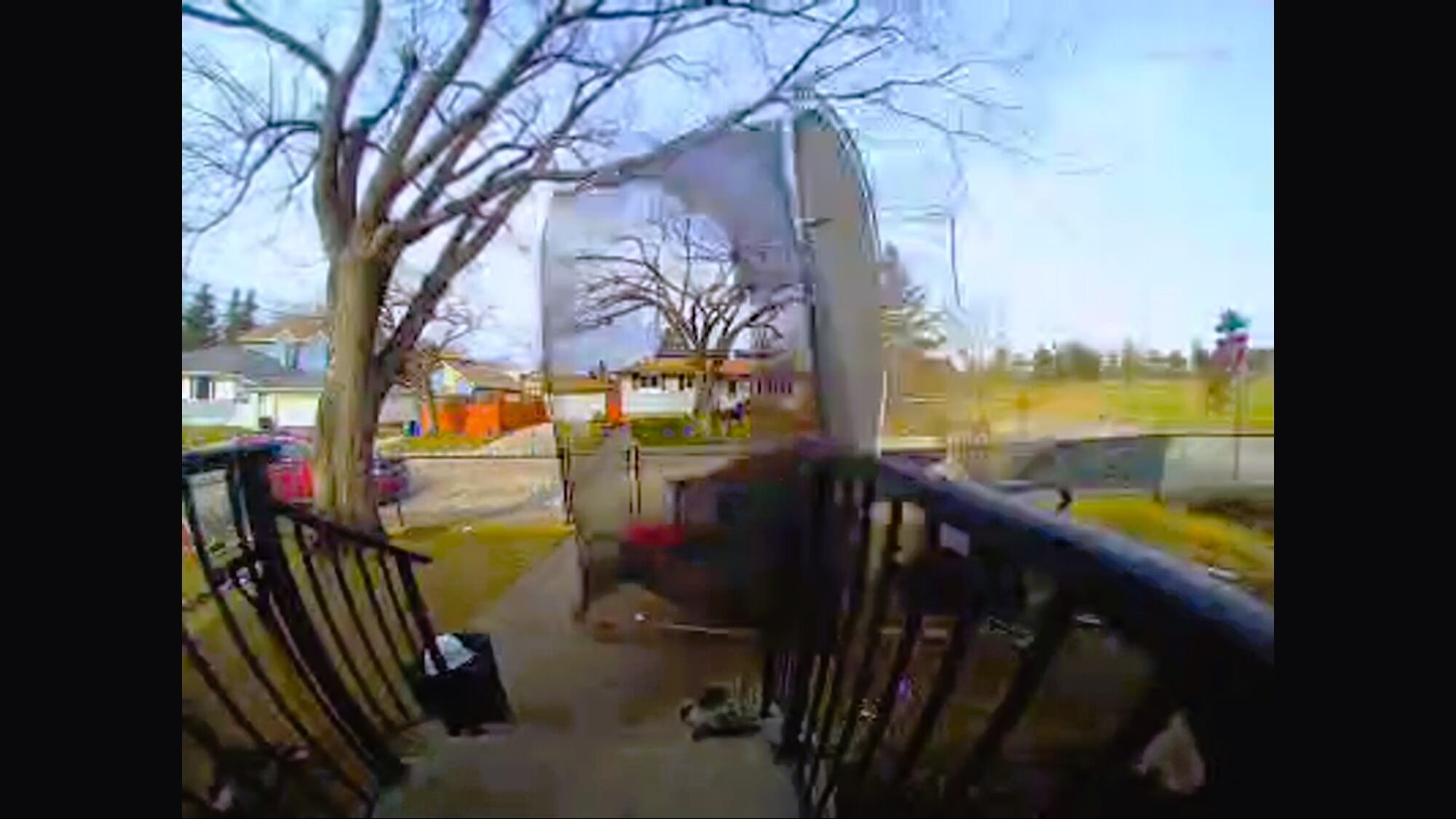 Wind wreaks havoc in Calgary, downing trees and toppling power lines ...