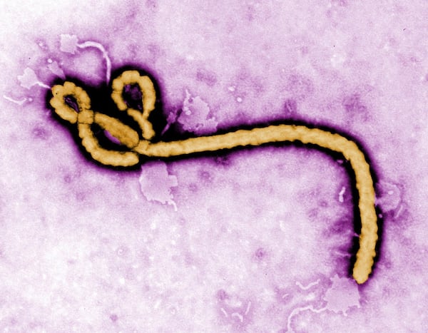 Dutch hospital admits patient with ‘low suspicion’ of Ebola