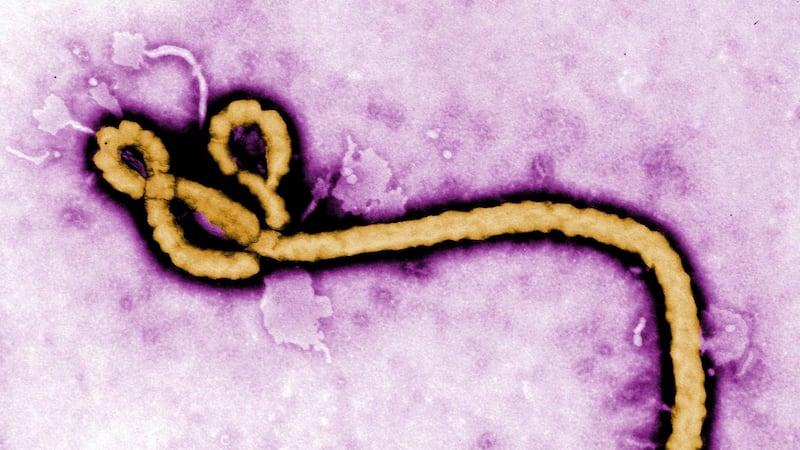 Dutch hospital admits patient with ‘low suspicion’ of Ebola