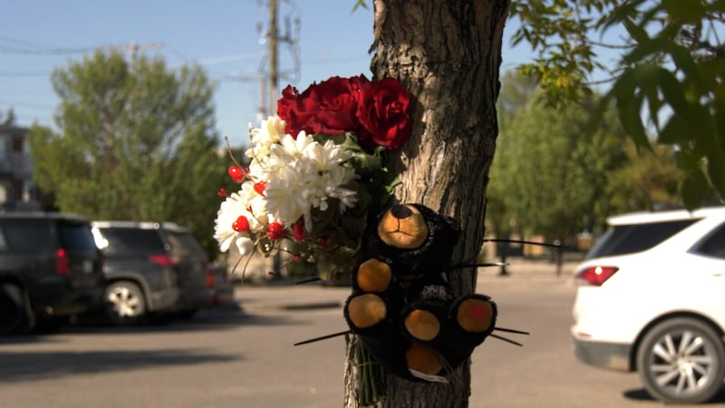 6-year-old girl struck, Regina police raise concerns about increase in pedestrian collisions