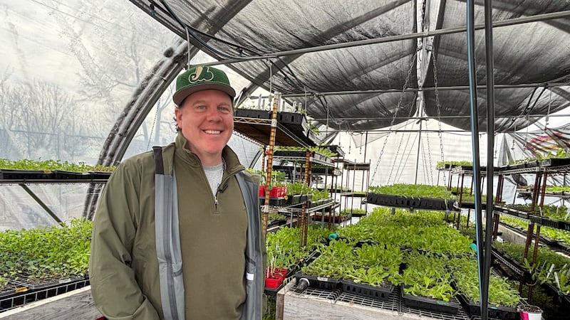 Is it too early to plant in Montreal? One expert says hardy crops can go in now