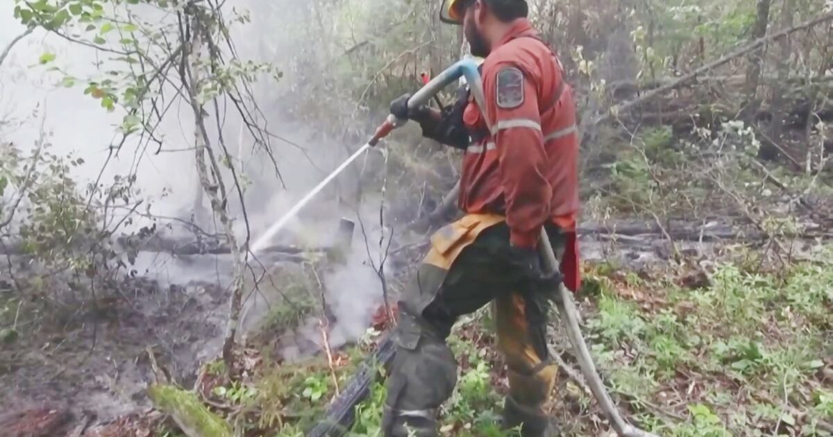 Union for MNR fire rangers says new funding won’t fix systemic issues