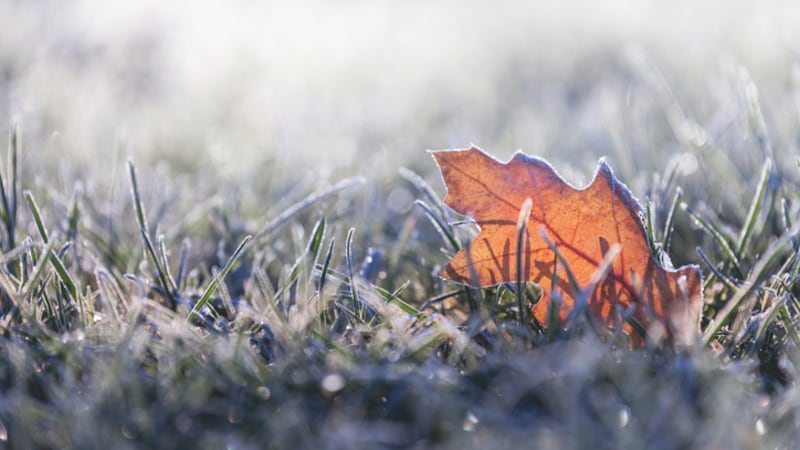 Saskatchewan expected to see frost overnight