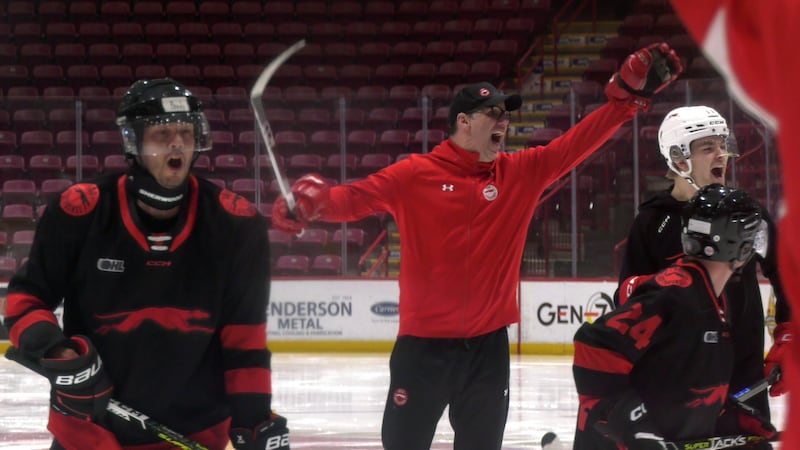 Soo Greyhounds looking for a new head coach