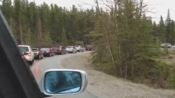 Summer set to bring much traffic to Banff, and the town has some thoughts about that