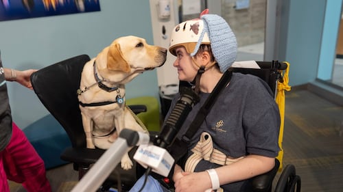 Good dog! More children’s hospitals turn to furry caregivers to help kids heal