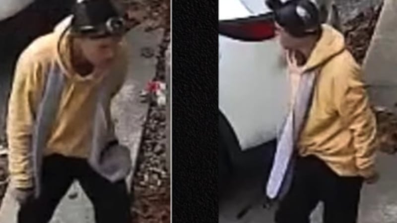 Windsor police seek several suspects in separate property damage investigations