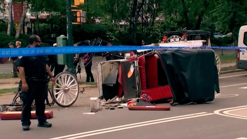 New York mayor, other leaders push to end horse carriage industry after Indian teen's death
