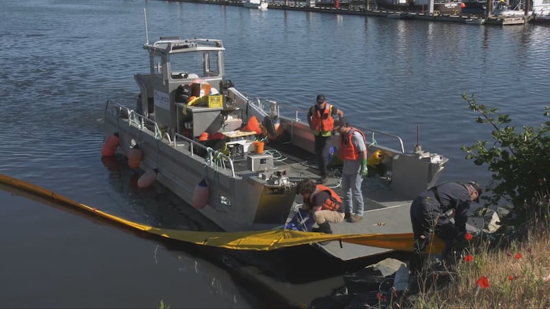 Comox Harbour sewage leak: Water quality monitoring continues following spill