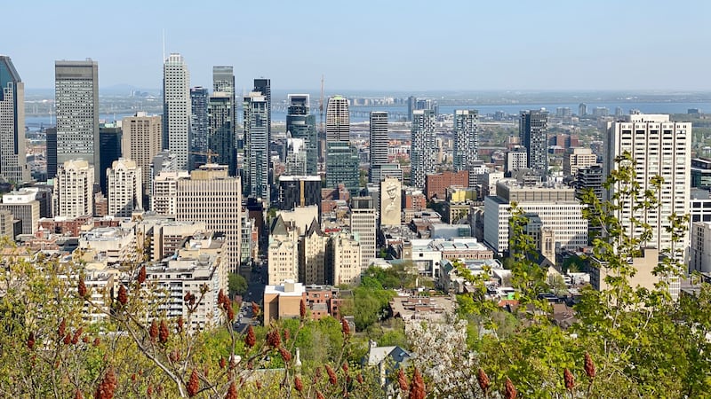 Montreal basking in sunshine as temperatures climb
