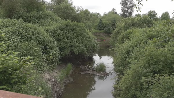Human remains found near river in Langley, B.C.