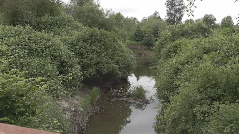 Human remains found near river in Langley, B.C.