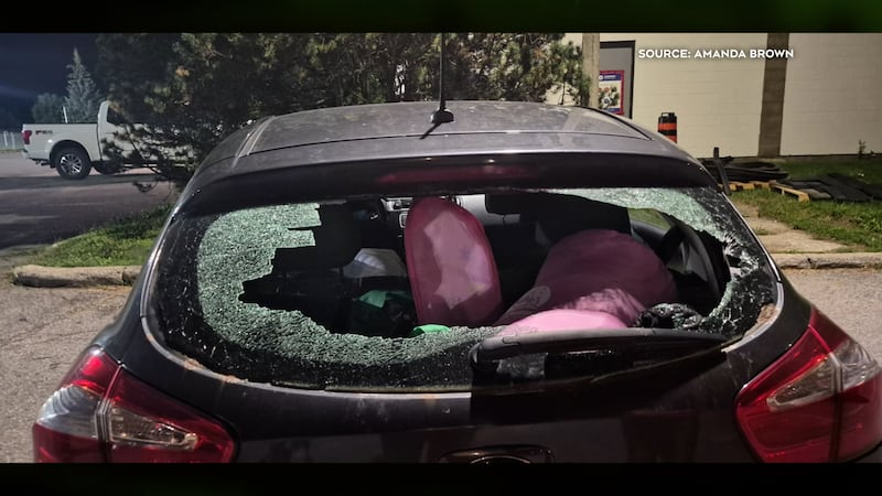 Ottawa woman calls for softball safety review after ball shatters car window