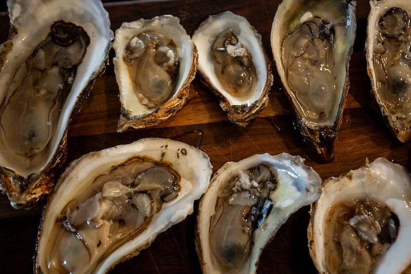 How disease-resistant oyster seed can help the struggling P.E.I. industry