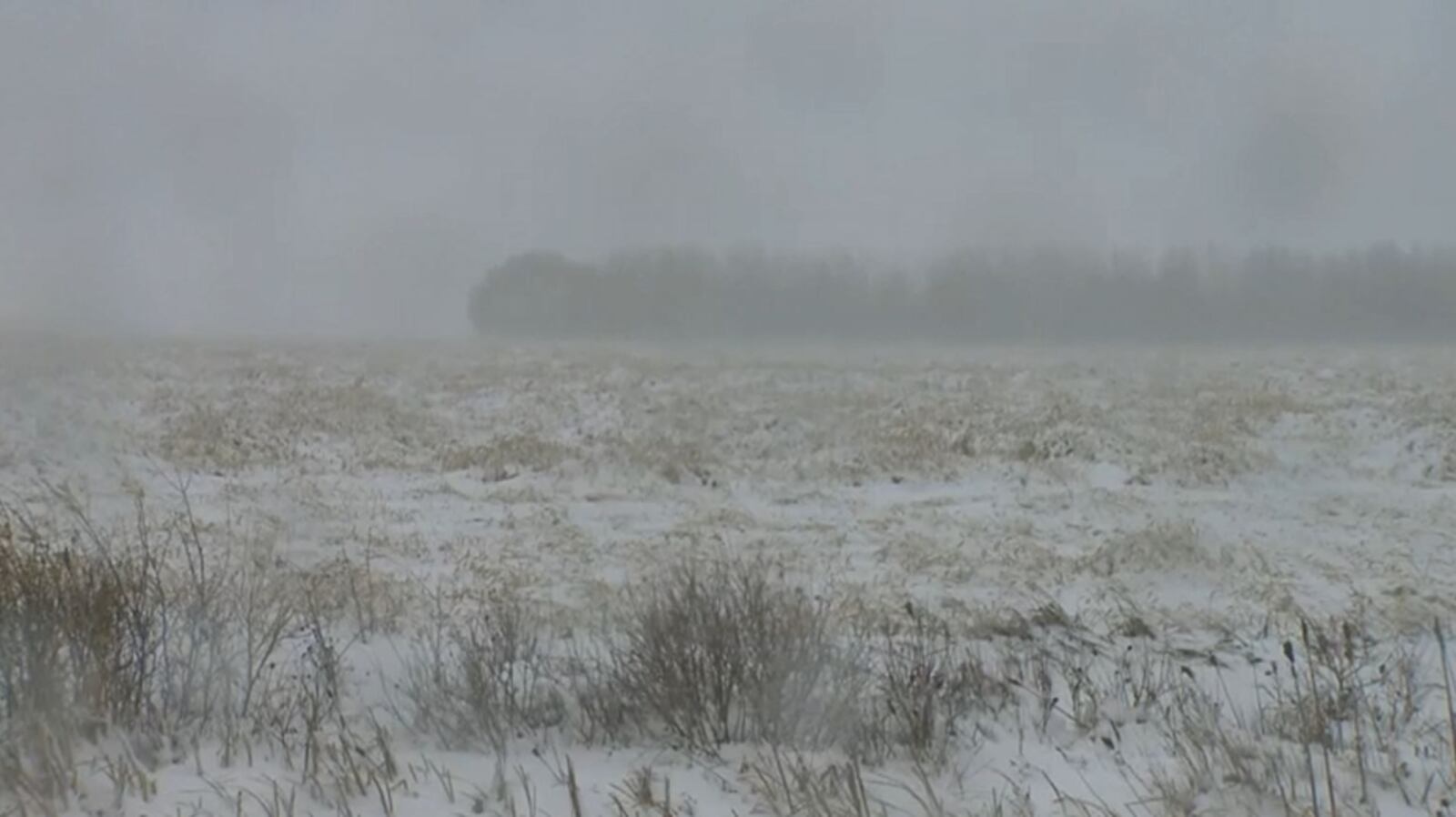 Harvest continues despite snowy weather