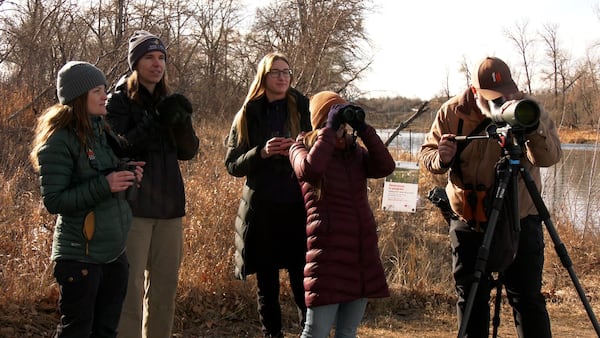 The Great Backyard Bird Count taking place during the Family Day long weekend