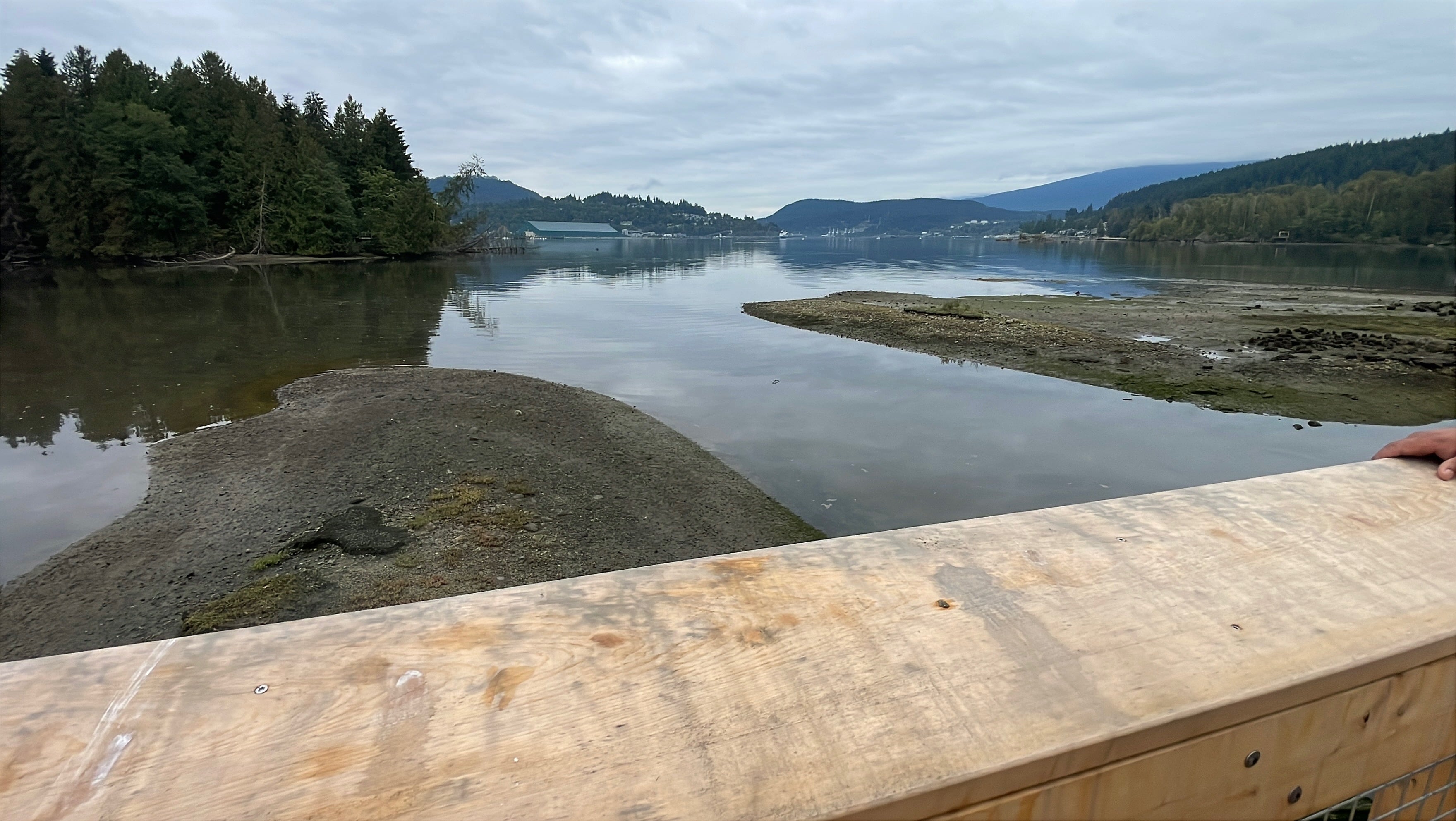 Shoreline Trail boardwalk