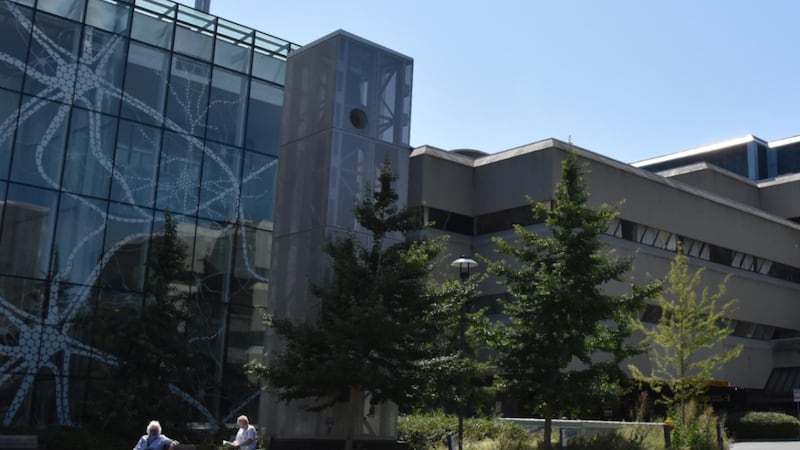 B.C. nurse practitioner suspended for abandoning 4 clients, other misconduct