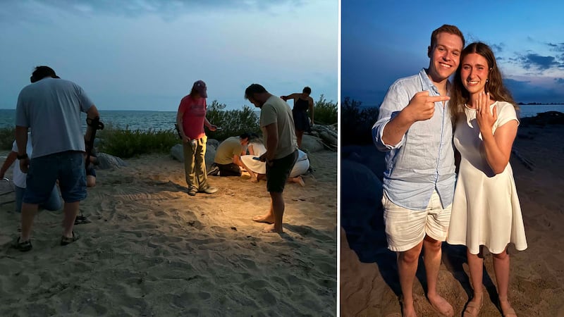 Ont. beach proposal turns into community ring hunt