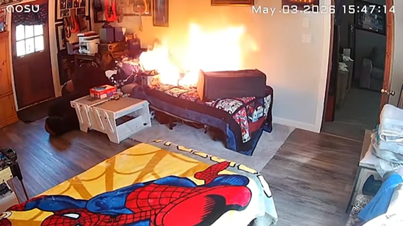 Calgary fire department warns of growing lithium-ion battery fire risks