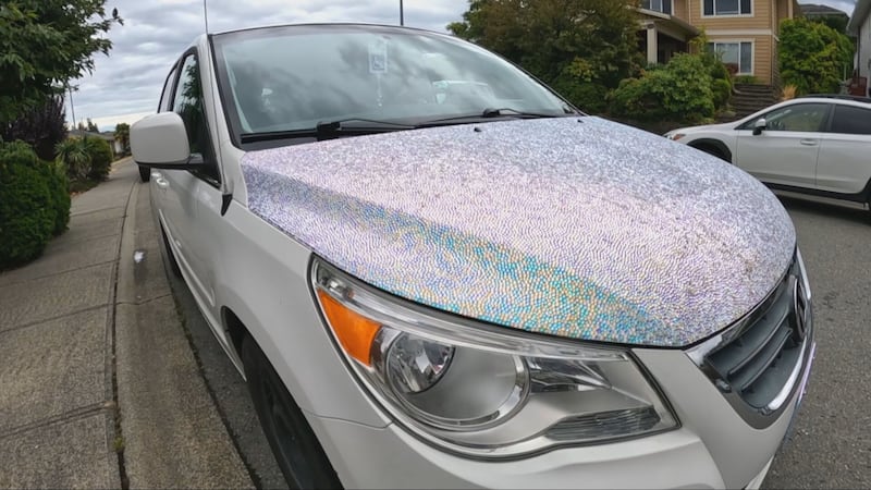B.C. woman overcomes debilitating car accident with ‘bling’