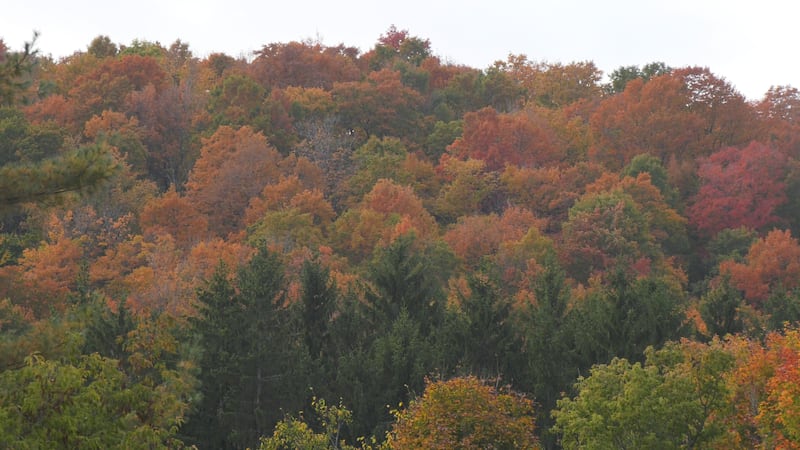 Things to do in Ottawa this weekend: Oct. 2-4