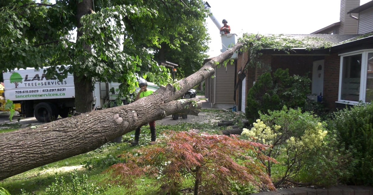 Storm cleanup continues after powerful winds tear through parts of Ottawa