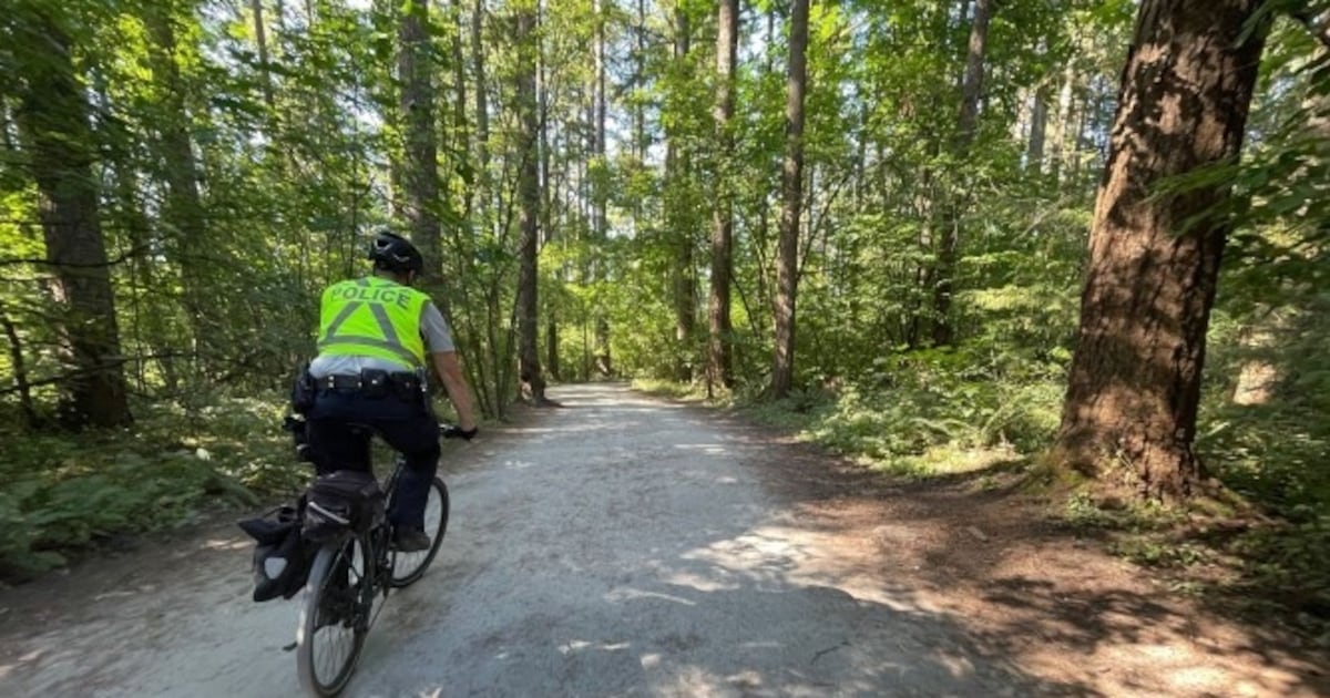 Burnaby RCMP investigating string of indecent acts in Central Park