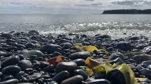 Maritimers have one question: Where are all the hurricanes?