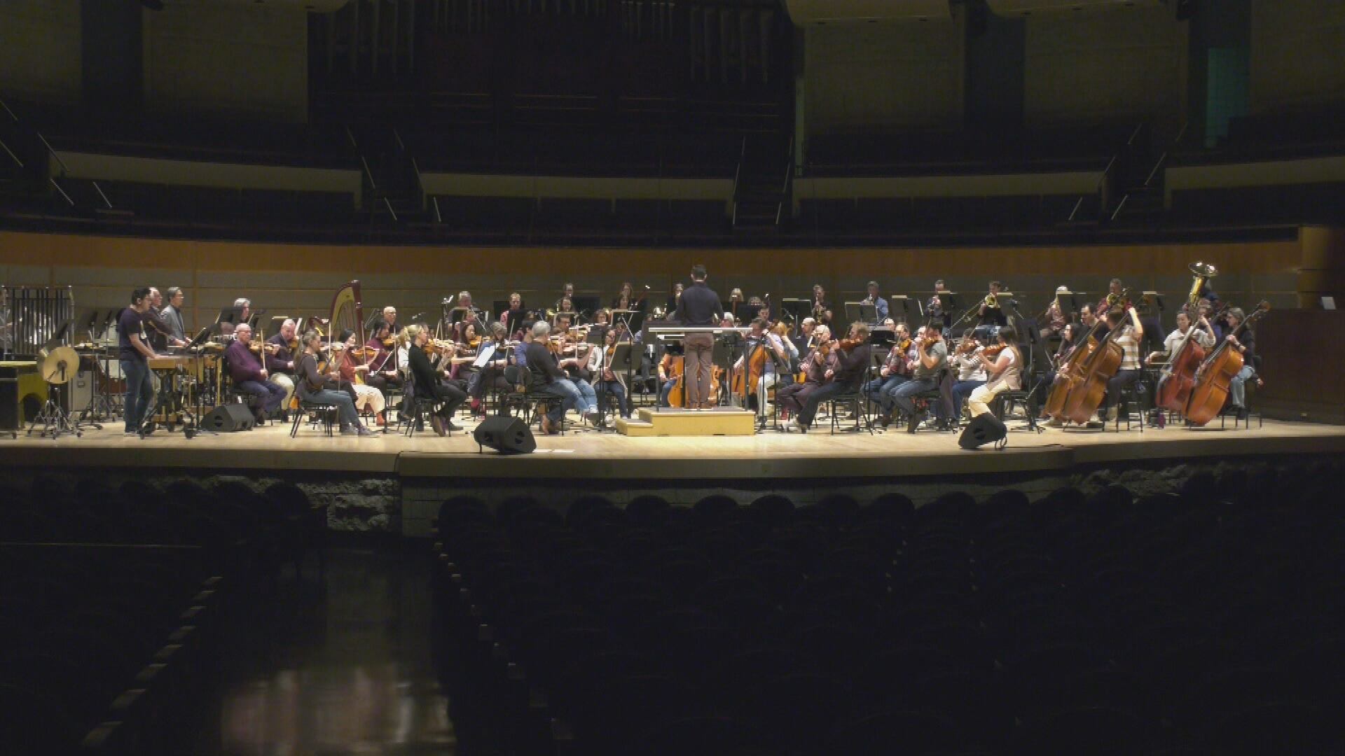 The Edmonton Symphony Orchestra. (File)