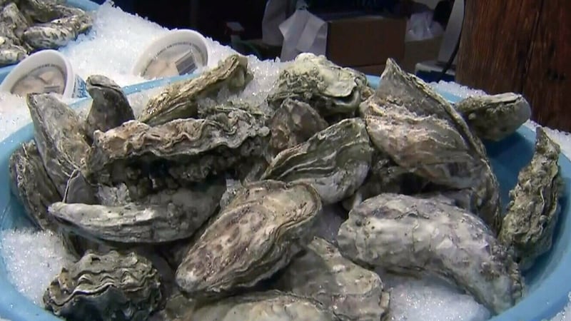 P.E.I. offering $3 million to oyster fishers impacted by MSX, Dermo